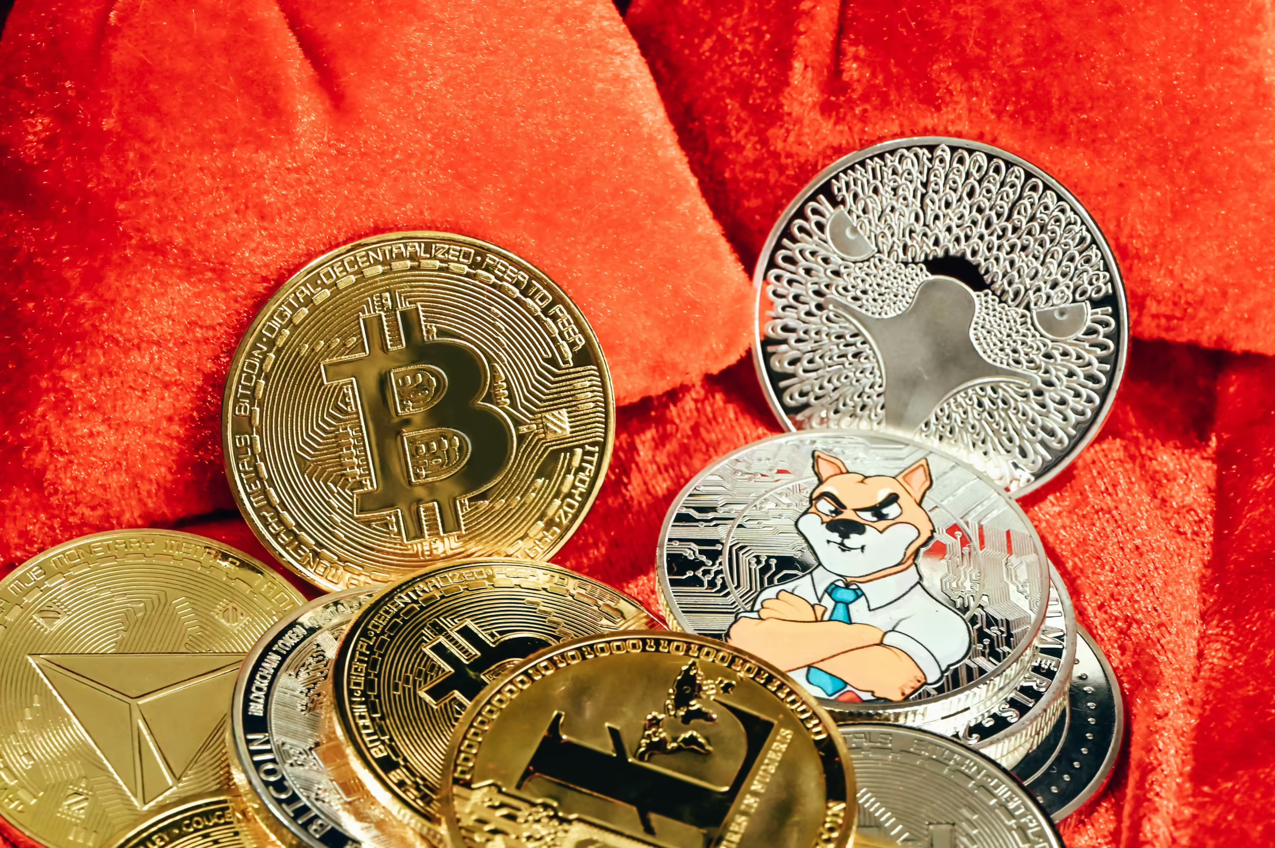 FLOKI Coin Nedir? Meme Coin Hakkında Her Şey