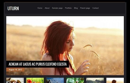 2013 Yılının Ücretsiz WordPress Temaları