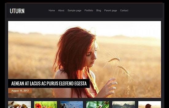 2013 Yılının Ücretsiz WordPress Temaları
