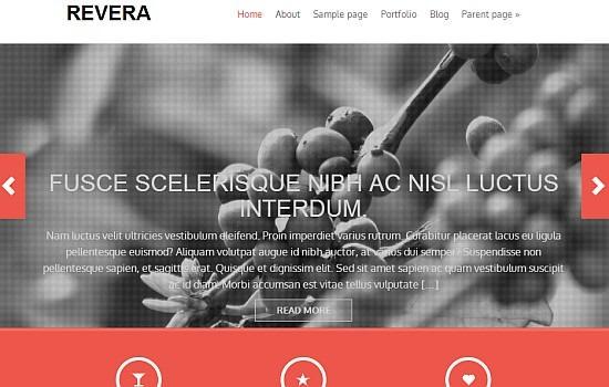 wordpress-ucretsiz-tema-7