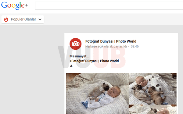 Google+ Popüler Olanlar Ekranı