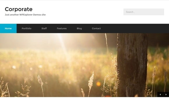 15 Ücretsiz Profesyonel WordPress Teması