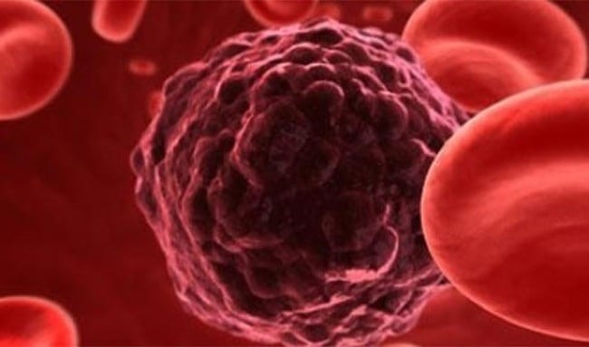 Vücudunuzda hücrelerinizin 10 katı kadar bakteri vardır.