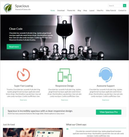 Spacious - WordPress Teması