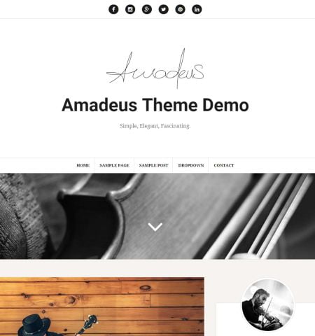Amadeus - WordPress Teması