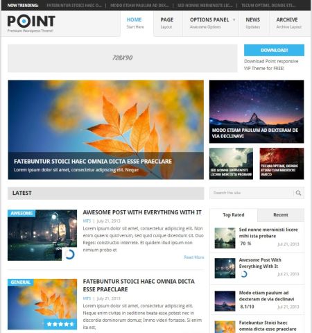 Point - WordPress Teması