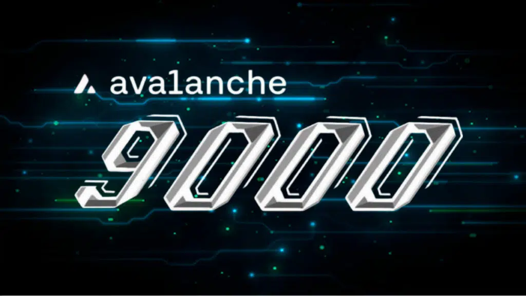 Avalanche9000 Nedir? Avalanche9000 Güncellemesi