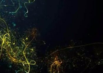 Tasarımcılar için Çılgın Fırsat!