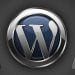 Ağustos'un En Çok Satan WordPress Temaları