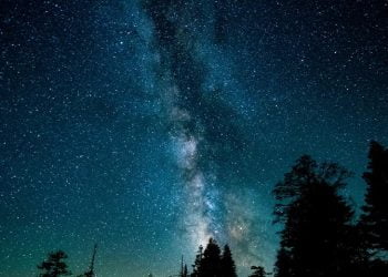 "Dünyayı Kovalar Kurtaracak" Demek İçin 11 Sebep