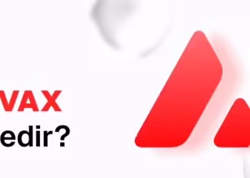Avax Nedir?
